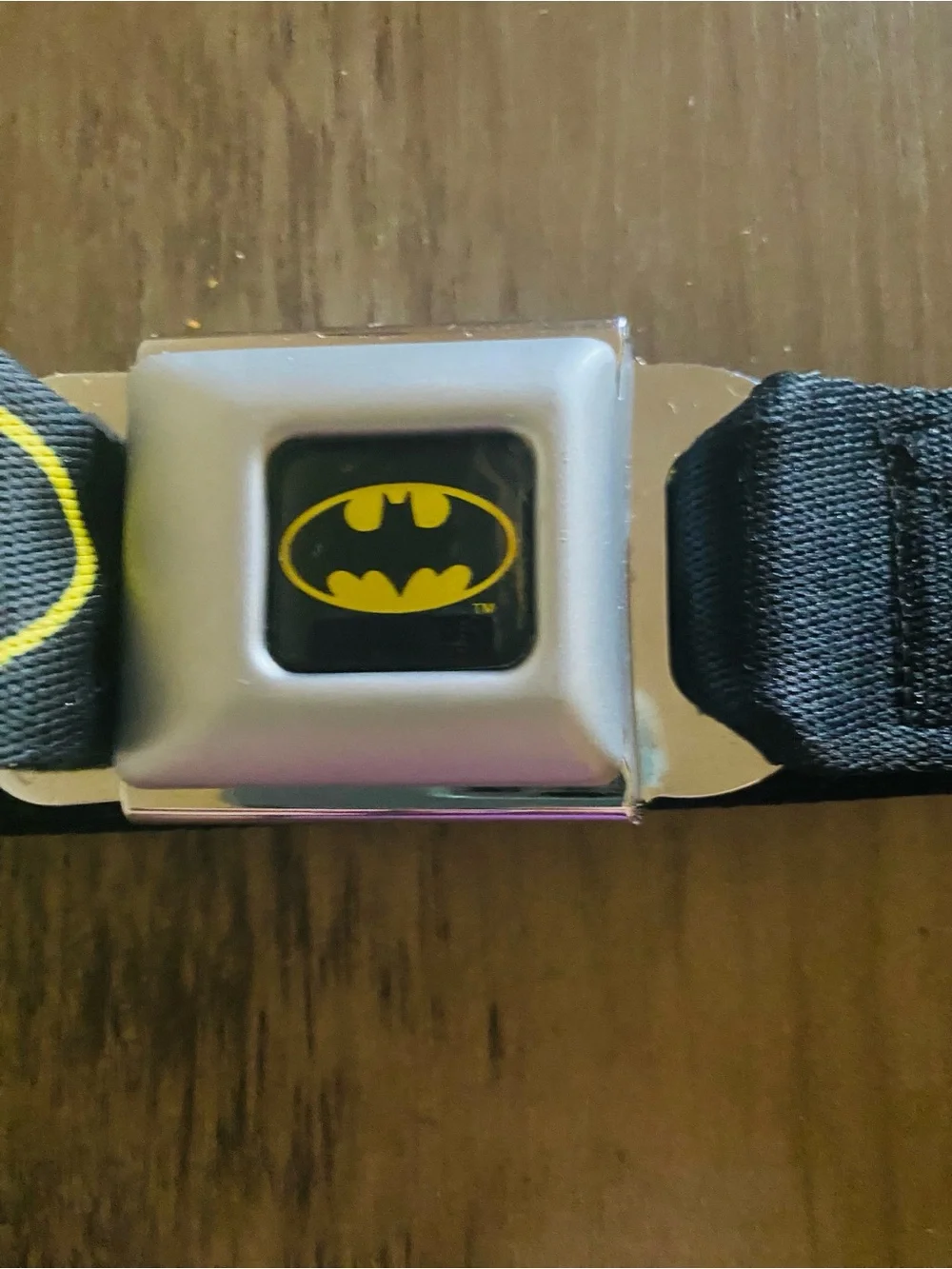 DC Comics XL Batman Dog Collar 18’ - 32’